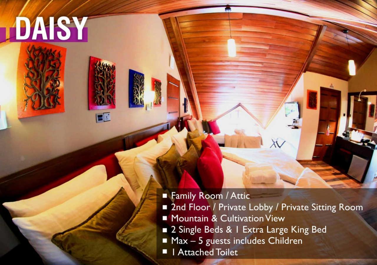 נוארה אליה Glory Bush Boutique Villa מראה חיצוני תמונה