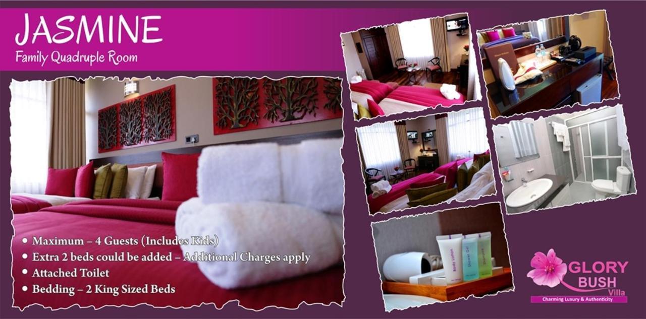 נוארה אליה Glory Bush Boutique Villa מראה חיצוני תמונה